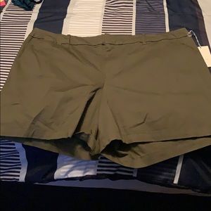 A new day shorts